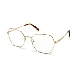 D. Arnesen O34 C7 5017